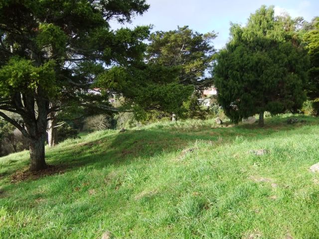 marmsky devotions pics September 2016 (15)