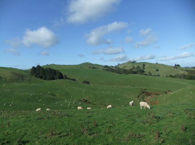 marmsky devotions pics September 2016 (18)