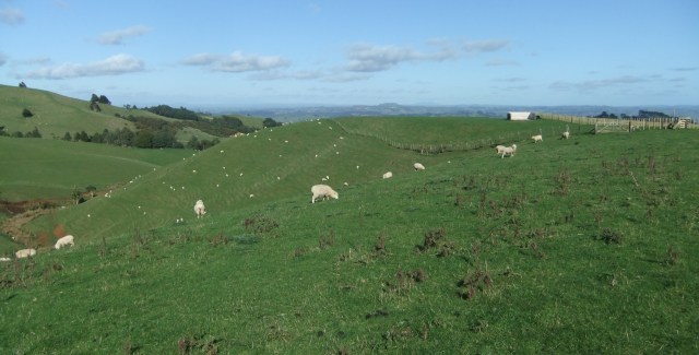 marmsky devotions pics September 2016 (19)