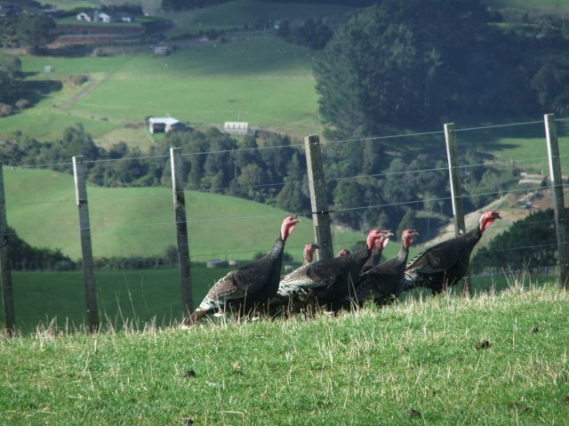 marmsky devotions pics September 2016 (20)