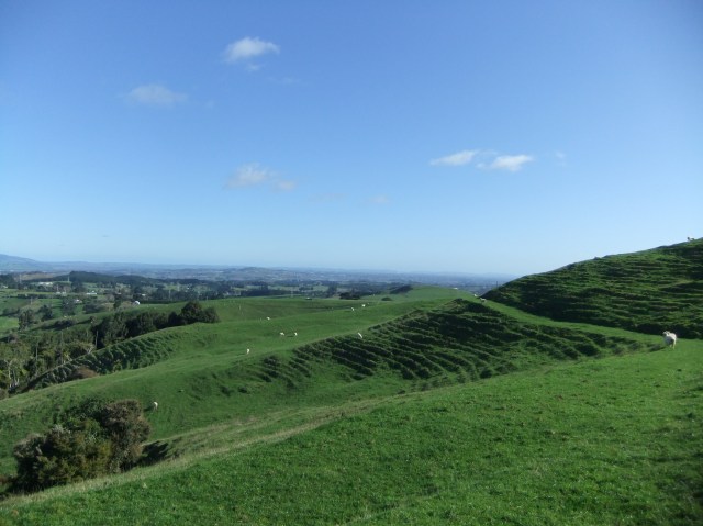 marmsky devotions pics September 2016 (21)