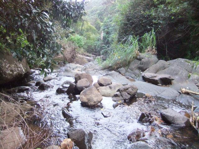 marmsky devotions pics September 2016 (30)