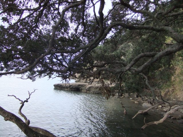 marmsky devotions pics December 2016 (11)