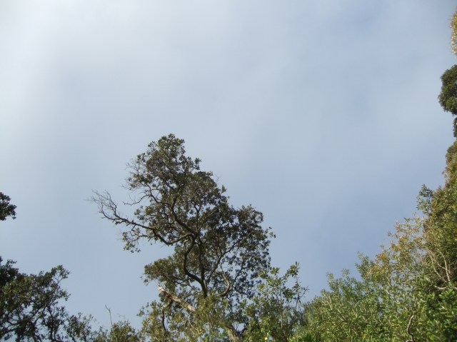 marmsky devotions pics December 2016 (13)