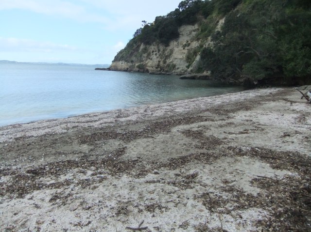 marmsky devotions pics December 2016 (2)