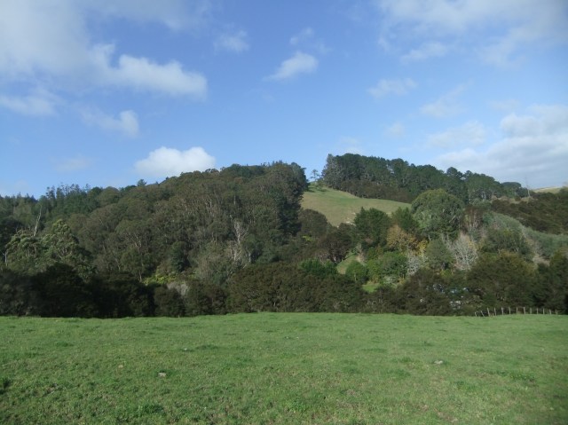 marmsky devotions pics December 2016 (22)