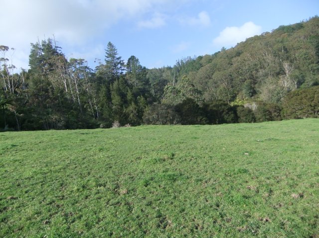 marmsky devotions pics December 2016 (23)