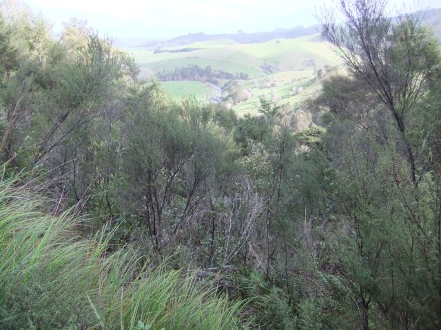 marmsky devotions pics December 2016 (26)