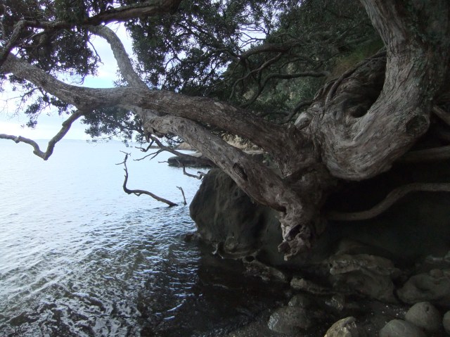 marmsky devotions pics December 2016 (5)