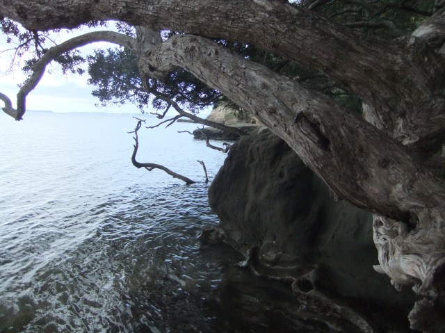 marmsky devotions pics December 2016 (7)