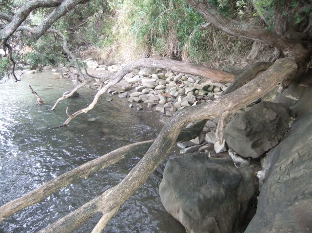 marmsky devotions pics December 2016 (8)