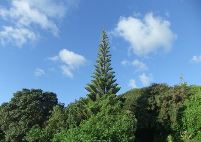 marmsky devotions pics November 2016 (27)