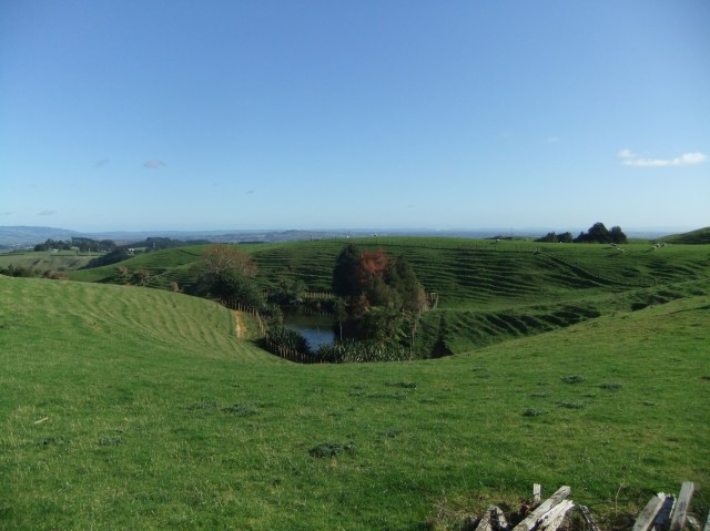 marmsky devotions pics October 2016 (1)