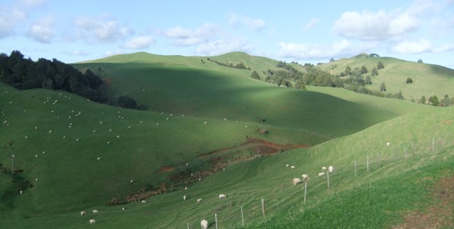 marmsky devotions pics October 2016 (11)