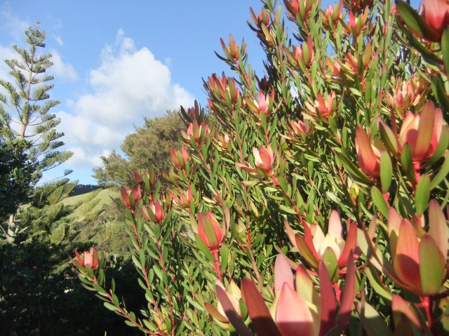 marmsky devotions pics October 2016 (16)