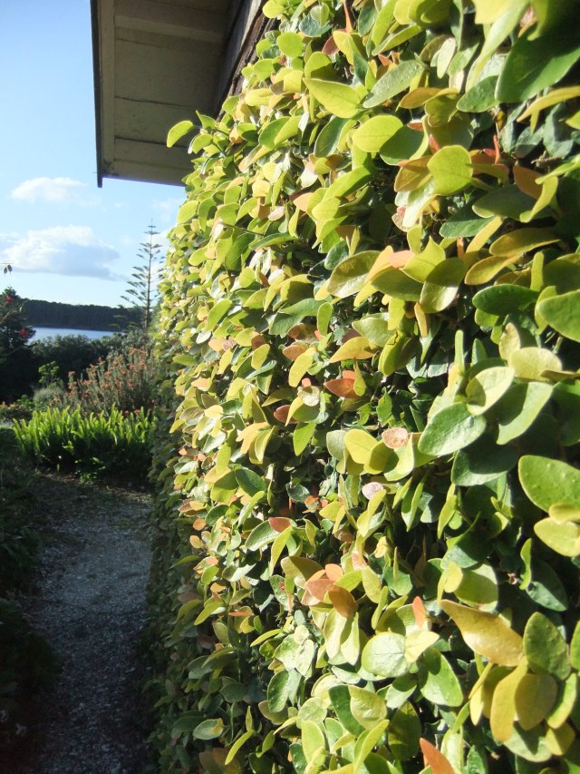 marmsky devotions pics October 2016 (18)