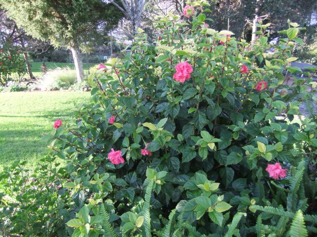 marmsky devotions pics October 2016 (19)