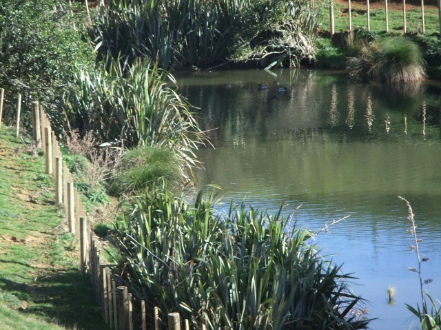 marmsky devotions pics October 2016 (2)