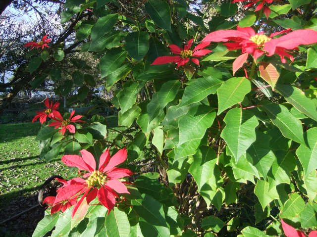 marmsky devotions pics October 2016 (22)