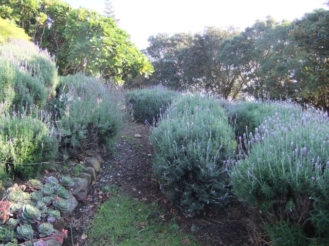 marmsky devotions pics October 2016 (24)