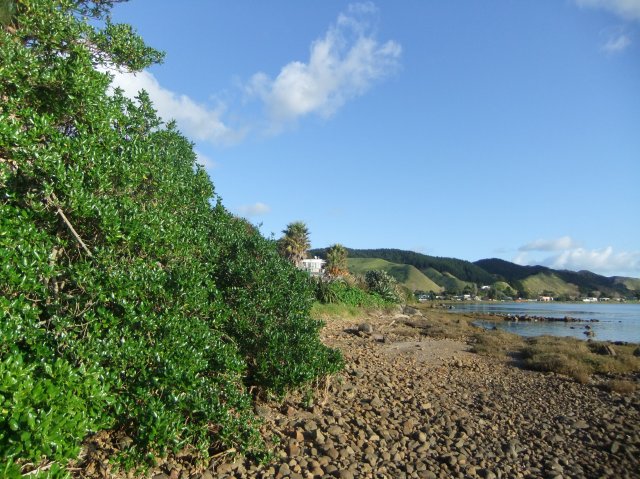 marmsky devotions pics October 2016 (26)