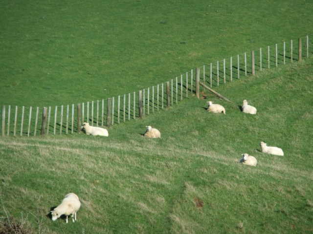 marmsky devotions pics October 2016 (30)