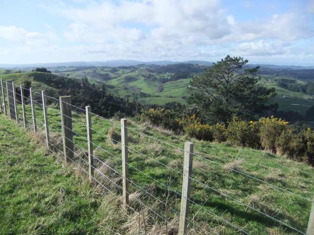 marmsky devotions pics October 2016 (4)