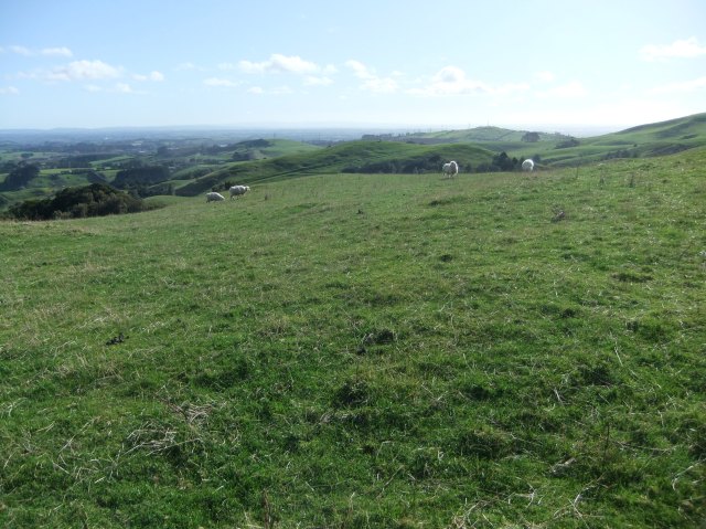 marmsky devotions pics October 2016 (5)