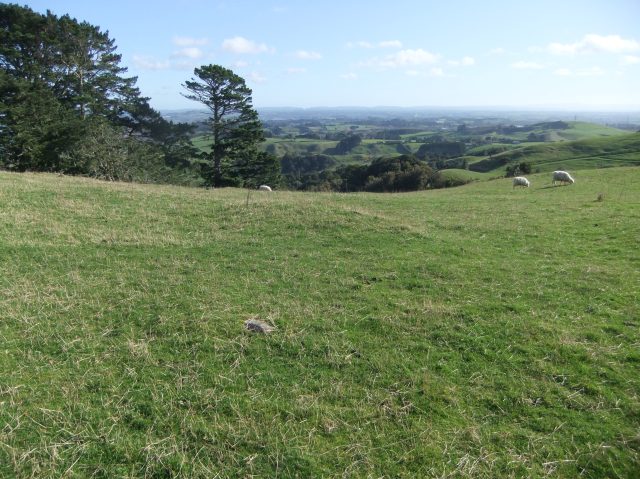 marmsky devotions pics October 2016 (6)