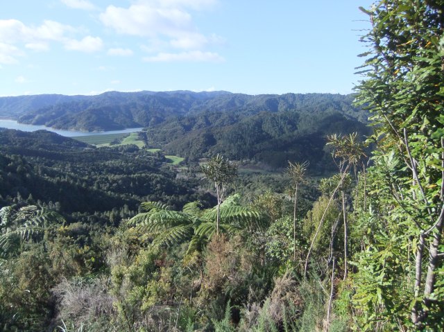 marmsky devotions pics January 2017 (10)