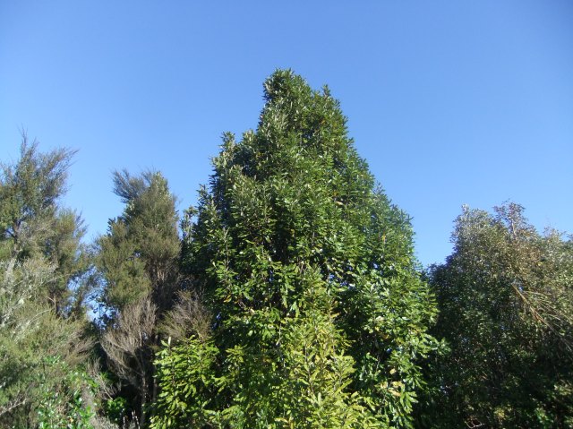 marmsky devotions pics January 2017 (12)