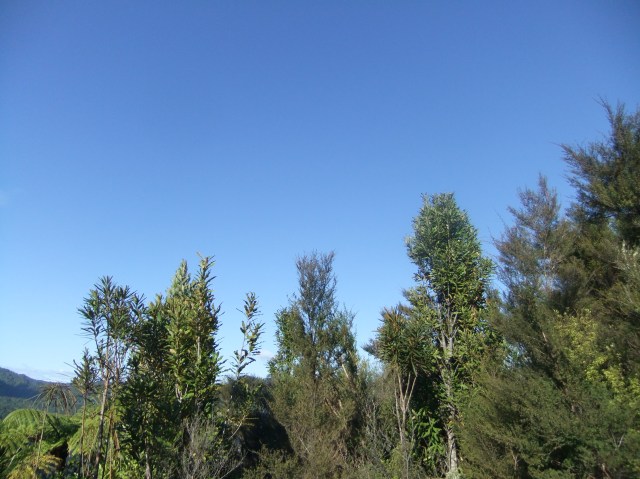 marmsky devotions pics January 2017 (13)