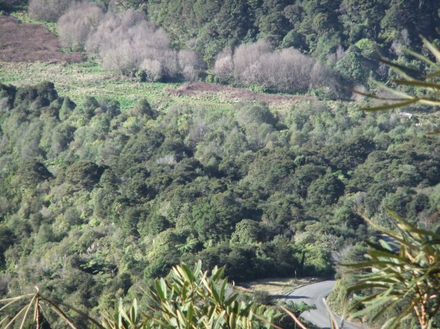 marmsky devotions pics January 2017 (15)