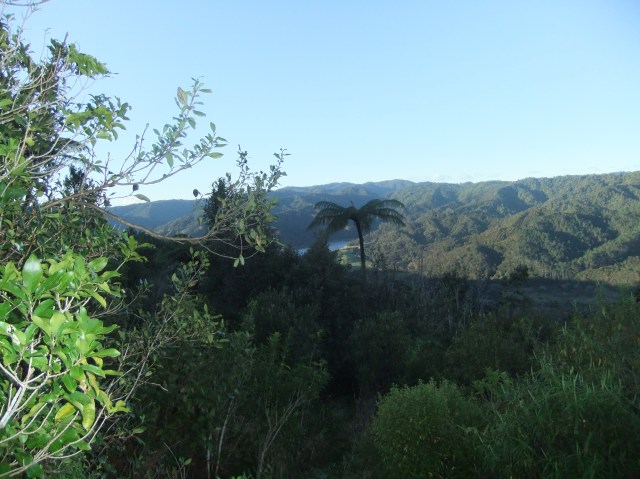 marmsky devotions pics January 2017 (20)