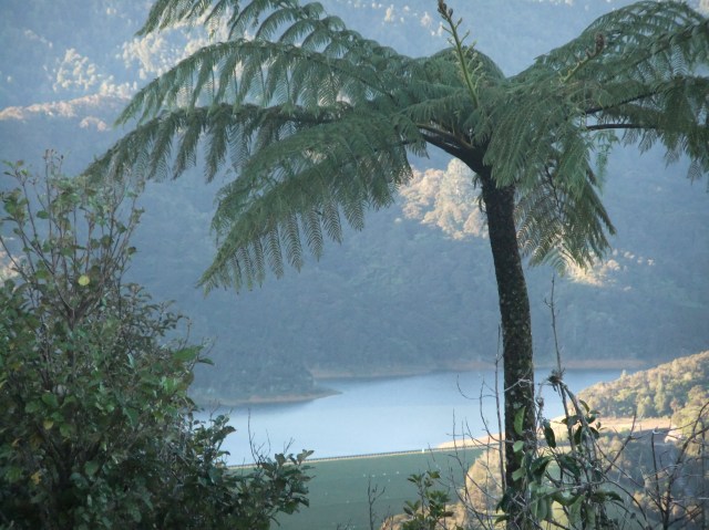 marmsky devotions pics January 2017 (21)