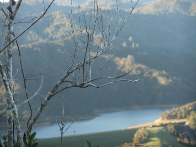 marmsky devotions pics January 2017 (22)