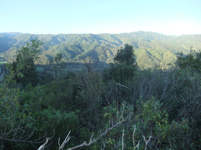 marmsky devotions pics January 2017 (23)