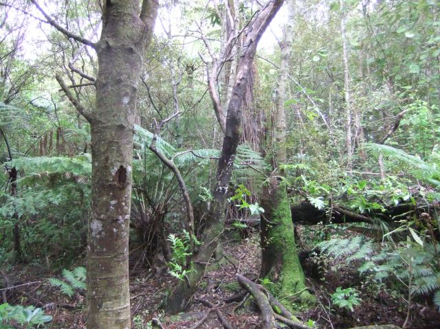 marmsky devotions pics January 2017 (27)