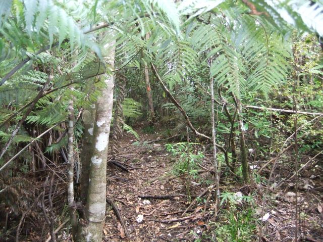 marmsky devotions pics January 2017 (29)