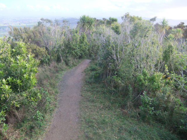 marmsky devotions pics January 2017 (3)