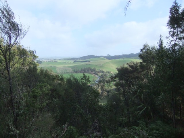 marmsky devotions pics January 2017 (30)