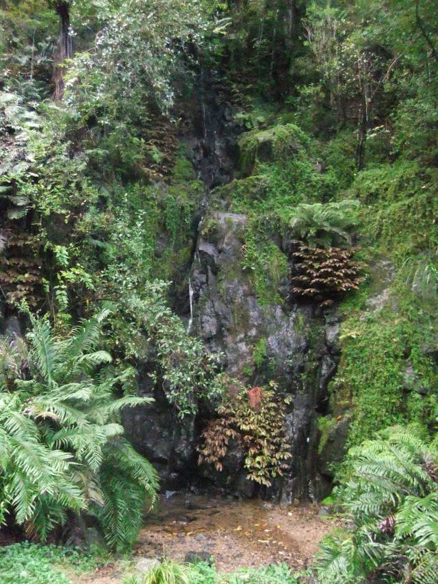 marmsky devotions pics January 2017 (7)