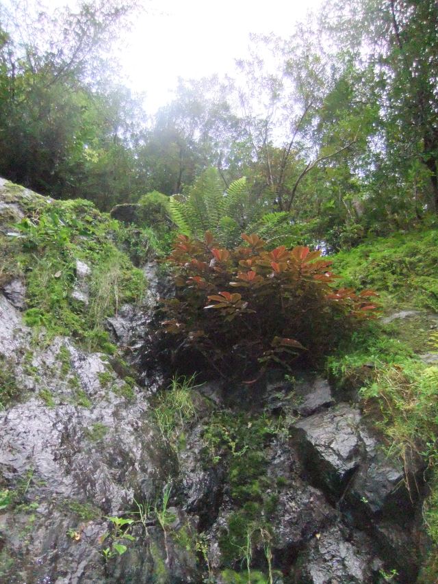 marmsky devotions pics January 2017 (8)