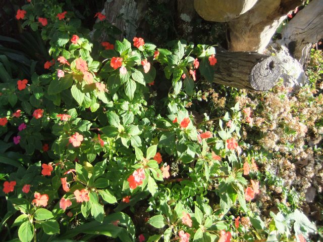 marmsky devotions pics November 2016 (13)