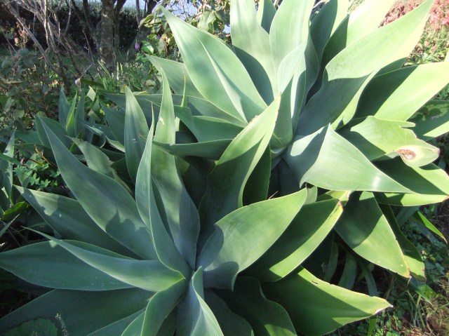 marmsky devotions pics November 2016 (14)