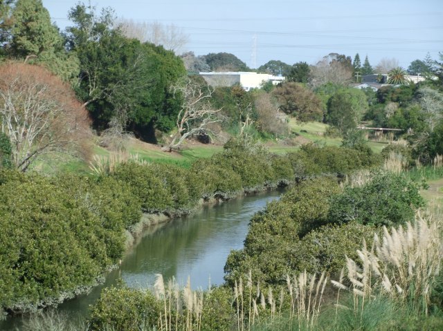 marmsky devotions pics November 2016 (17)