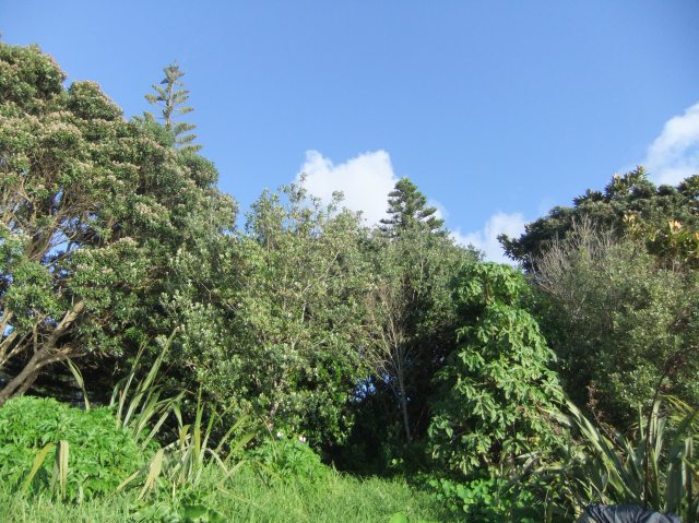 marmsky devotions pics November 2016 (2)