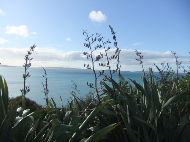 marmsky devotions pics November 2016 (23)