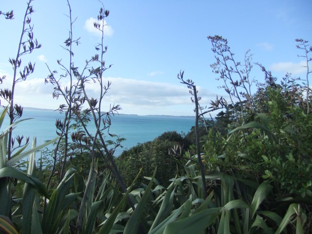 marmsky devotions pics November 2016 (24)