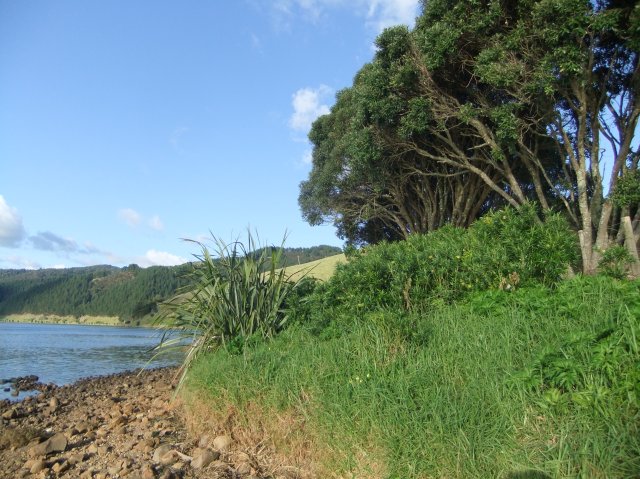 marmsky devotions pics November 2016 (3)